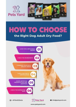 How to Choose the Right Dog Adult Dry Food?