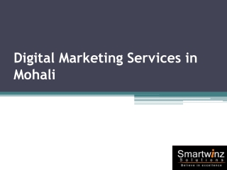 Digital Marketing Services in Mohali