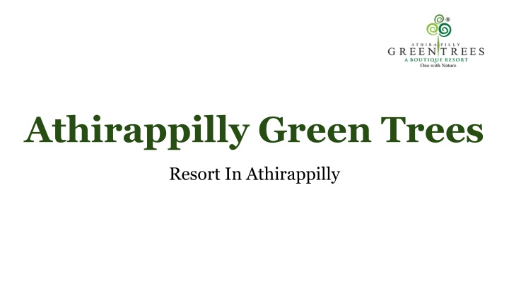 athirappilly green trees