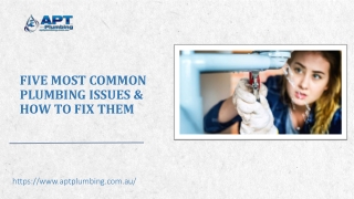 Five Most Common Plumbing Issues & How to Fix Them