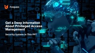 Deep Information About Privileged Access Management Security System