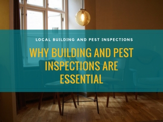 Why pre-purchase building and pest inspection are essential