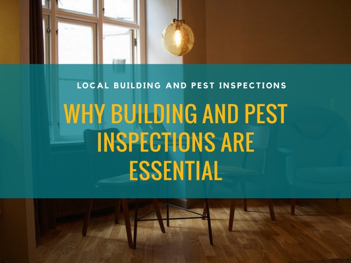 local building and pest inspections