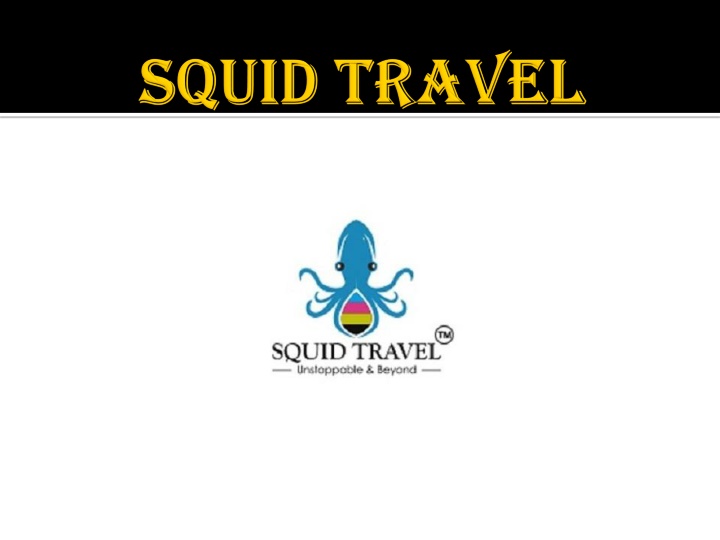 squid travel