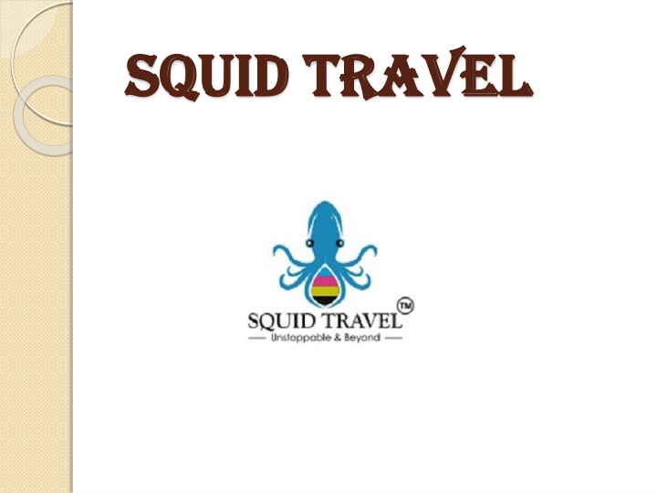 squid travel