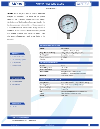 Amonia Pressure Gauge - Economical | India Pressure Gauge