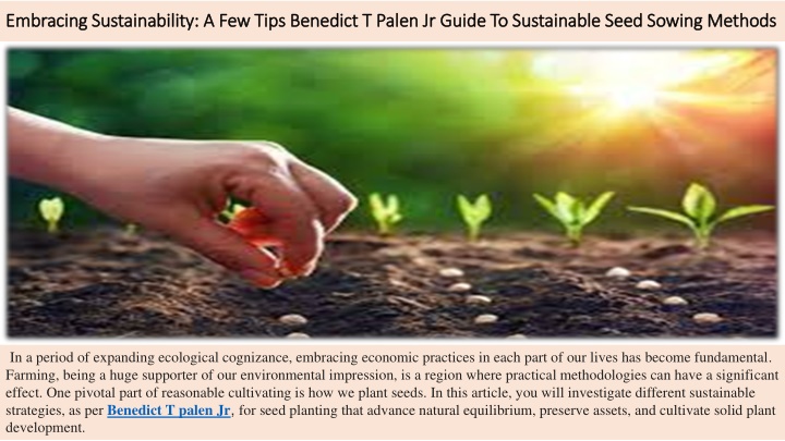 embracing sustainability a few tips benedict t palen jr guide to sustainable seed sowing methods