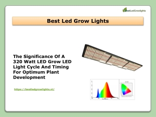 The Significance Of A 320 Watt LED Grow LED Light Cycle And Timing For Optimum Plant Development