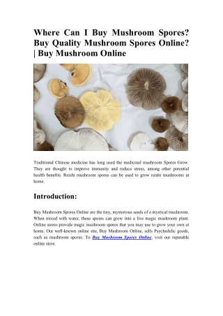 Where Can I Buy Mushroom Spores - Buy Quality Mushroom Spores Online