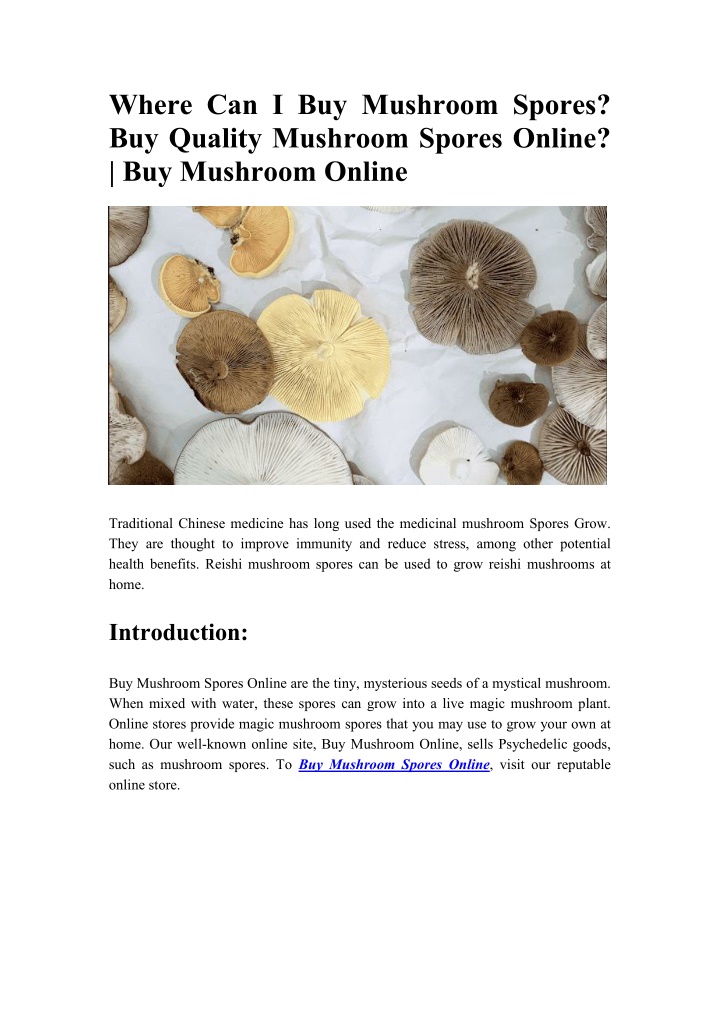 where can i buy mushroom spores buy quality