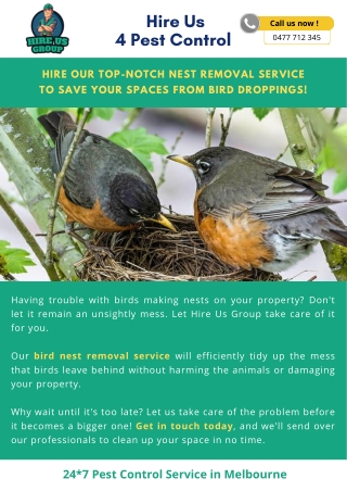 Hire Our Top-Notch Nest Removal Service to Save Your Spaces From Bird Droppings