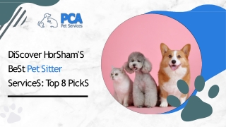 Discover Horsham's Best Pet Sitter Services Top 8 Picks