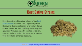 Best Sativa Strains - Green Leaf Dispensary Store