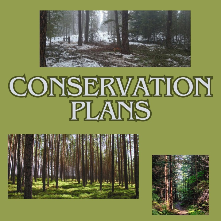 conservation plans plans