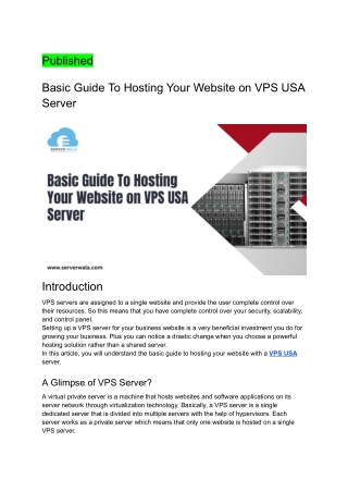 Basic Guide To Hosting Your Website on VPS USA Server