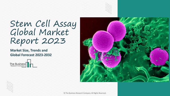 stem cell assay global market report 2023