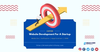 Custom Website Development for Startup - Dream Cyber Infoway