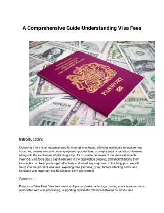 A Comprehensive Guide Understanding Visa Fees