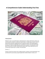 A Comprehensive Guide Understanding Visa Fees - slide 1