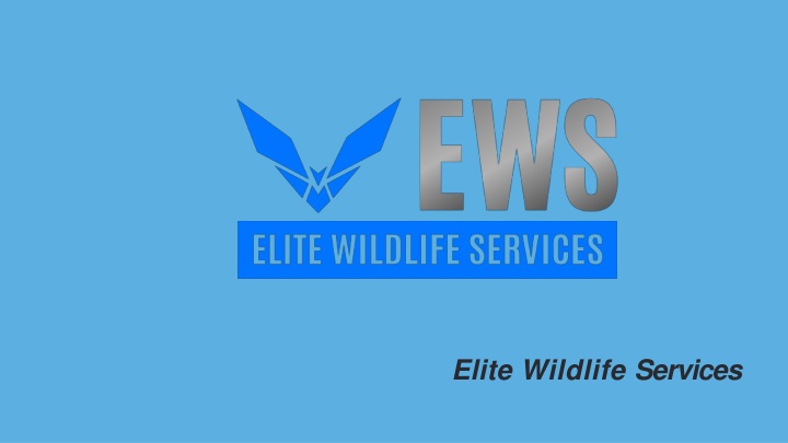 elite wildlife services