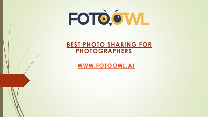 best photo sharing for photographers