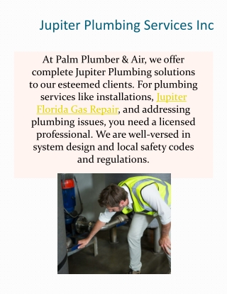 Jupiter Plumbing Services Inc