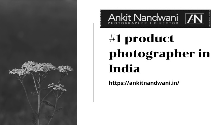 1 product photographer in india