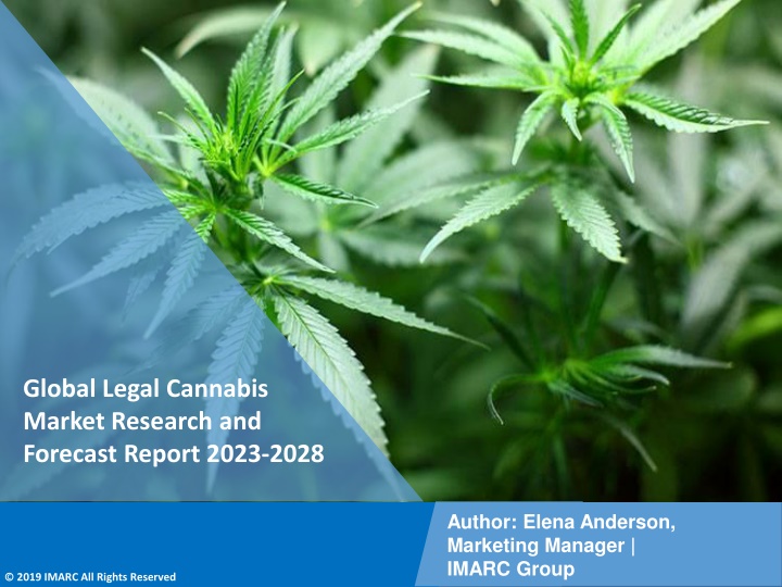 global legal cannabis market research