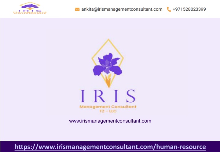 www irismanagementconsultant com