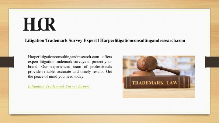 litigation trademark survey expert
