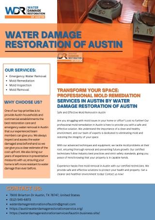 Transform Your Space: Professional Mold Remediation Services in Austin by water