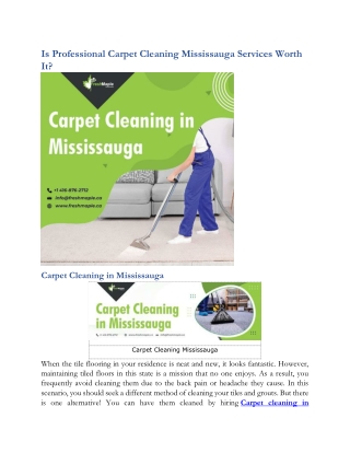 Is Professional Carpet Cleaning Mississauga Services Worth It