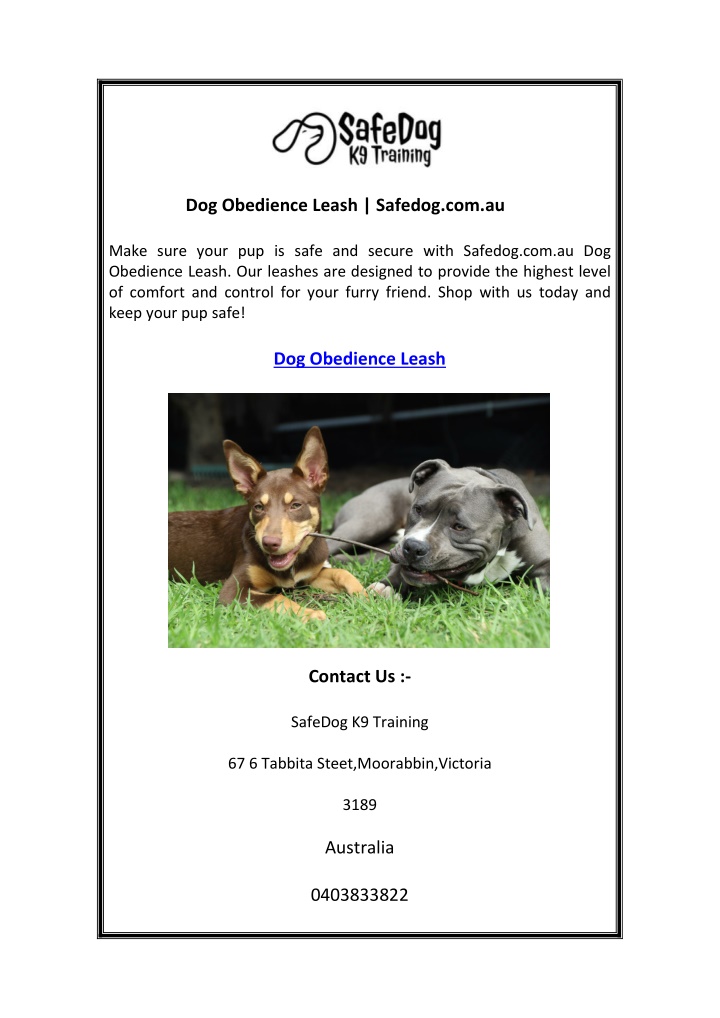 dog obedience leash safedog com au