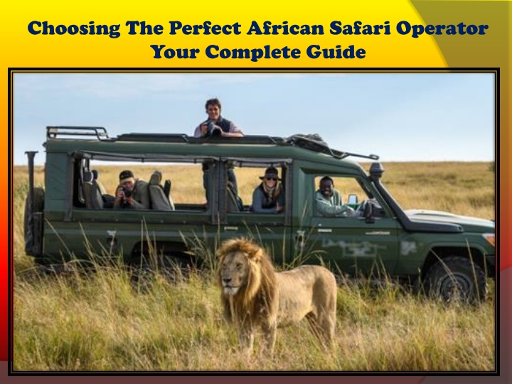 choosing the perfect african safari operator your