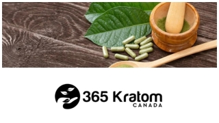 365 Kratom Canada: Your Trusted Source for Premium Canadian Kratom Products