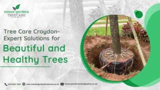 Tree Care Croydon - Expert Solutions for Beautiful and Healthy Trees