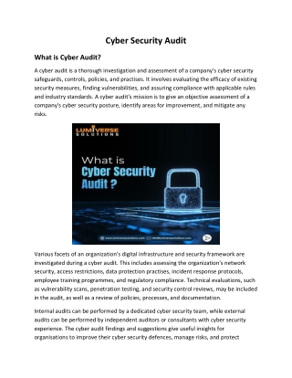 cyber security audit