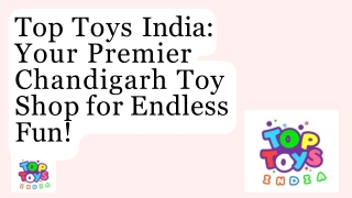 Top Toys India Your Premier Chandigarh Toy Shop for Endless Fun!