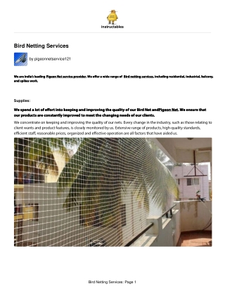 Bird-Netting-Services