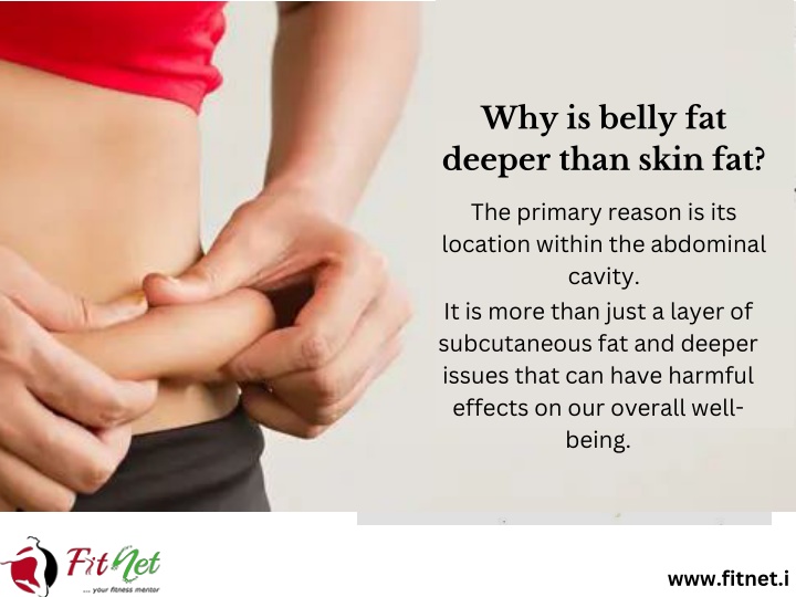 why is belly fat deeper than skin fat