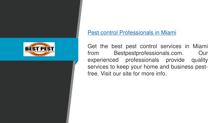 pest control professionals in miami get the best