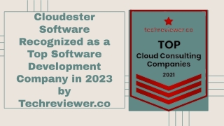 Top Software Development Company in 2023 by Techreviewer.co