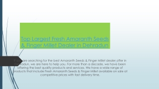 Top Largest Fresh Amaranth Seeds & Finger Millet Dealer in Dehradun