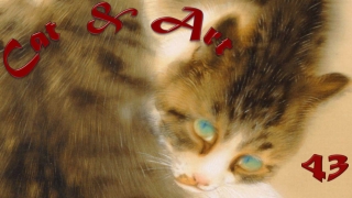 cat art