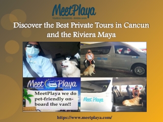 Discover the Best Private Tours in Cancun and the Riviera Maya