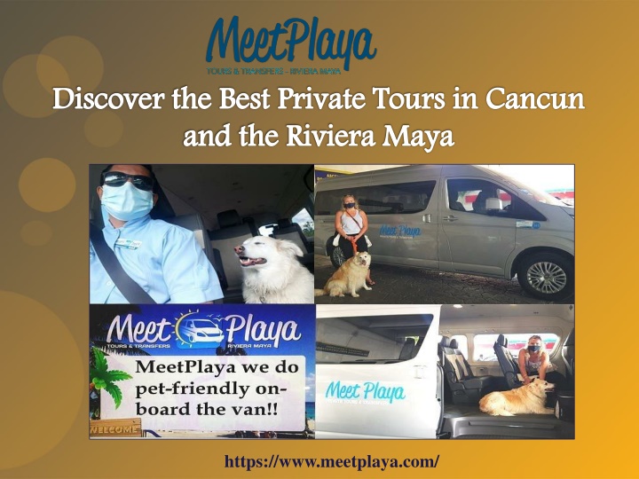 discover the best private tours in cancun