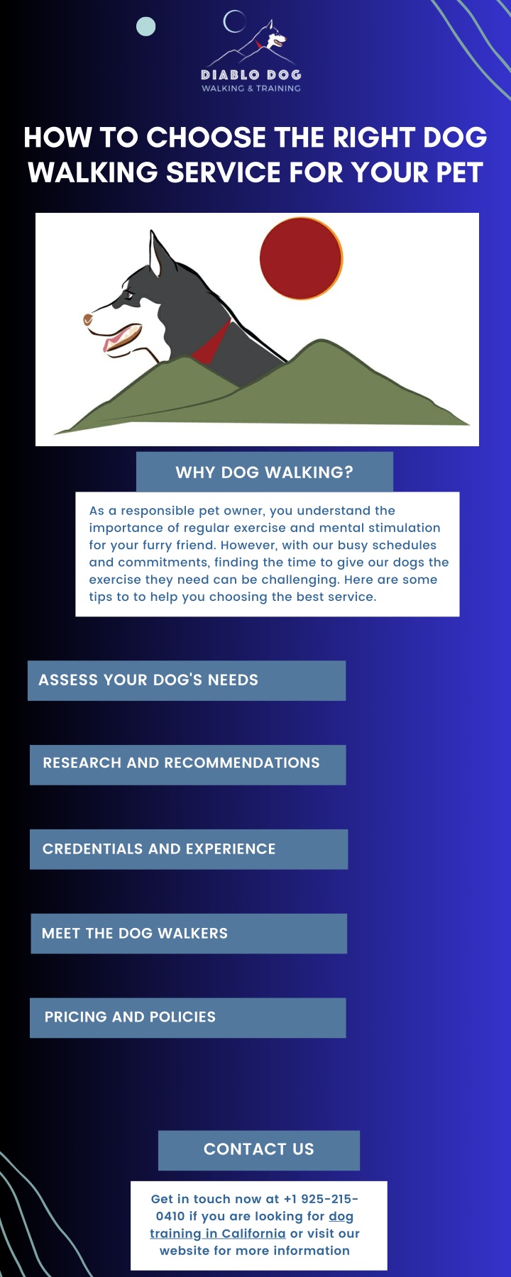 how to choose the right dog walking service