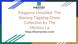 Elegance Unveiled: The Barong Tagalog Dress Collection by The Mestizo La