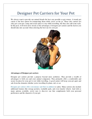 Designer Pet Carriers for Your Pet