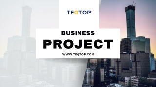 TEQTOP Professional Business Project Presentation